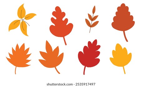 Autumn leaves hand drawn for season, holiday, element and illustration. Flat design