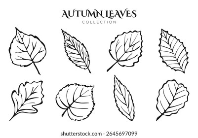 Outumn Leaves Hand Drawn Sketch Outline Set Diferentes Árvores Elm poplar linden cinza Folha linha Coleção de tinta para colorir livros, padrão, cartão, cartaz. Contorno de folhagem isolado no fundo branco.