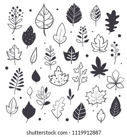 Autumn leaves, hand drawn style, black and white graphic set, vector illustration