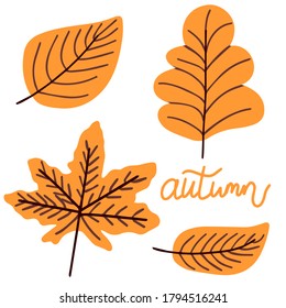 Autumn leaves hand drawn vector set