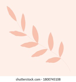 Autumn leaves hand drawn vector illustration. Exotic plant in pastel colors. Beautiful floral design, plumeria, palm trees, ficus, fern. Floral postcard design element for icons, logo, postcard, print