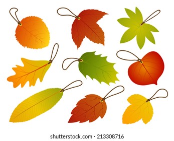 Autumn Leaves Hang Tags