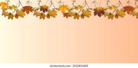 Autumn leaves hanging on soft pastel color background stimulating autumn seasonal beauty.