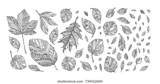 Autumn leaves. Happy thanksgiving day. Vector artwork. Black and white. Coloring book pages for adults and kids. Set collection. Bohemian concept for invitation, greeting card, boutique logo, label
