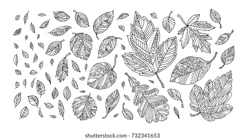 Autumn leaves. Happy thanksgiving. Vector artwork. Black and white. Coloring book pages for adults and kids. Set collection. Bohemia concept for invitation, greeting card, boutique logo, label. 