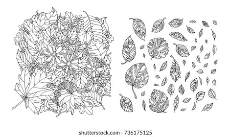 Autumn leaves. Happy thanksgiving. Vector artwork. Black and white. Coloring book pages for adults and kids. Set collection. Bohemia concept for wedding invitation, greeting card, boutique logo, label