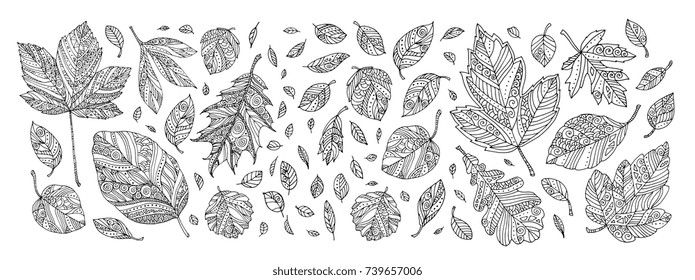 Autumn leaves. Happy thanksgiving. Vector artwork. Black and white. Coloring book pages for adults and kids. Set collection. Bohemia concept for wedding invitation, greeting card, boutique logo, label