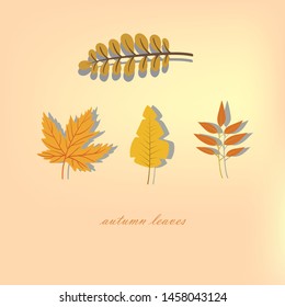 Autumn leaves I have a nice yellow background.