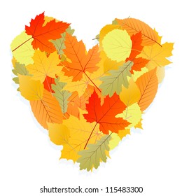 Autumn leaves heart background vector concept