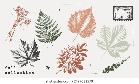 Autumn leaves and herbarium plant set with grainy photocopy effect. Grunge fall collection stippling. Vector illustration