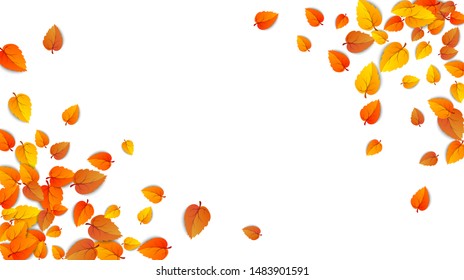 Autumn leaves horizontal banner isolated on white background. Advertising template with golden autumn leaf. Fall season colors pattern. Autumnal nature foliage wallpaper frame. Vector