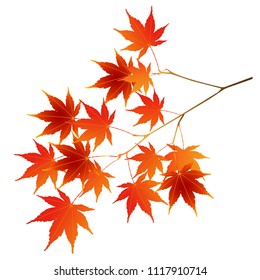 Autumn leaves autumn leaves icon