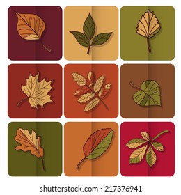 Autumn leaves icon. Red, yellow and green leaves of forest trees. Are used as buttons for web design