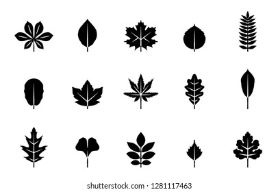 autumn leaves icon set