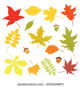 autumn leaves icon set