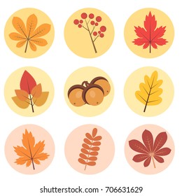 Autumn leaves icon set, fall vector illustration. Collection of the colourful autumn nature