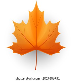 Herbstblätter, Symbol, Vektorgrafik auf weißem Hintergrund
