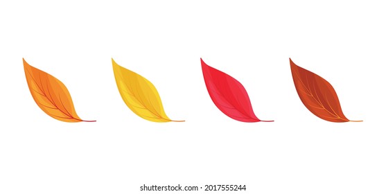 Autumn leaves icons isolated on white background. Simple cartoon flat style. Isolated vector illustration. Design for seasonal holiday greeting card, stickers, logo, web and mobile app.