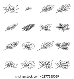 Autumn leaves icons set. Isometric set of autumn leaves vector icons thin line outline on white isolated