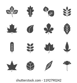 Autumn leaves icons. Silhouettes of various autumn leaves. Vector leaf black, nature oak foliage illustration