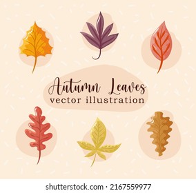 autumn leaves icons vector illustration