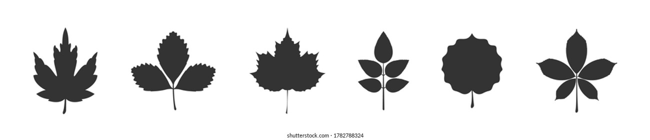 Autumn leaves icons. Vector leaf icons. Vector illustration