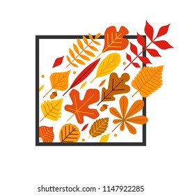 Autumn leaves illustration in black square frame on white background. Flat colorful vector leaves set. Template for banner, flyer, advertising leaflets. Botanical clipart.