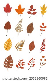 Autumn leaves illustration, fallen leaves featuring various shapes and colors, including orange, red, yellow, and brown leaves Flat vector illustration on white background.