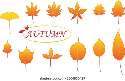 Autumn leaves illustration material set
