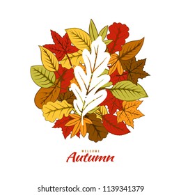 Autumn leaves illustration vector