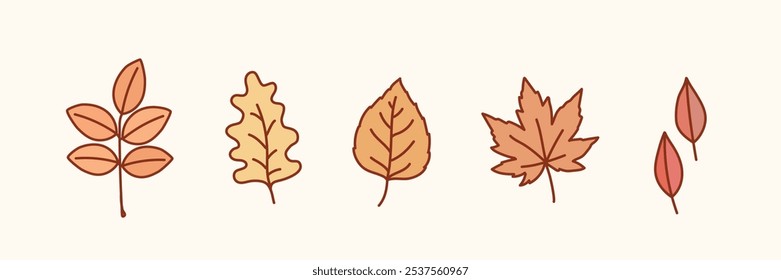 Ilustración de hojas de otoño. Elementos de otoño de Vector. Ilustraciones de diseño de Vector de estilo dibujado a mano.