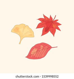 Autumn leaves illustration, vector eps10