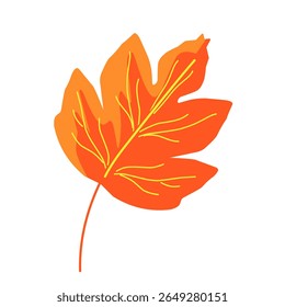 Autumn leaves illustration,autumn plants,dry leaves falling from trees