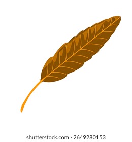 Autumn leaves illustration,autumn plants,dry leaves falling from trees