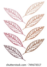 autumn leaves illustrations brunch vector