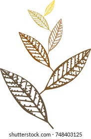 autumn leaves illustrations vector