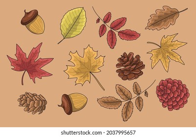 Autumn leaves ink sketch in yellow, orange and red colors. Hand drawn. Pinecone, acorn, maple, oak,  rowan and linden leaves. Herbarium.