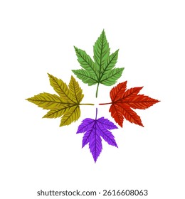 autumn leaves isolated colorful without background
