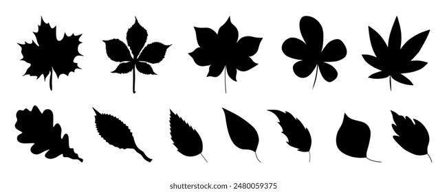 Autumn leaves isolated on transparent background. vector illustration