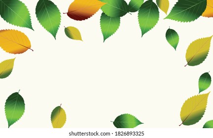 Autumn leaves isolated on a white background.