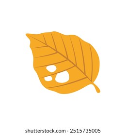 Autumn leaves  isolated on white background.
