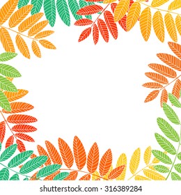 Autumn leaves isolated on white. 