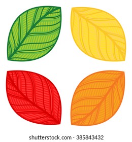 Autumn leaves isolated on white background. Vector illustration.