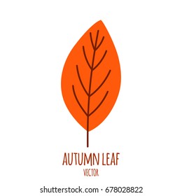 Autumn Leaves Isolated On The White. Simple Cartoon Flat Style, Vector Illustration.