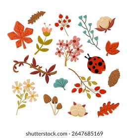 Autumn leaves. Isolated vector icons of autumn leaves mushrooms and berries, twigs and ladybug on white background. Autumn elements for banner, flyer, textile, print, surface, fabric design. Colorful 