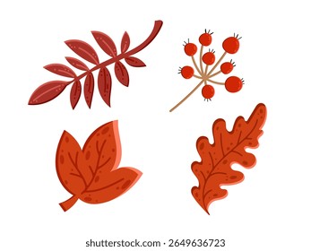 Autumn leaves. Isolated vector leaf icon on white background. Autumn elements for banner, flyer, textile, print, surface, fabric design. Colorful flat illustration.