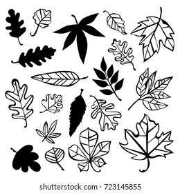 Autumn leaves. Isolated vector objects on white background.