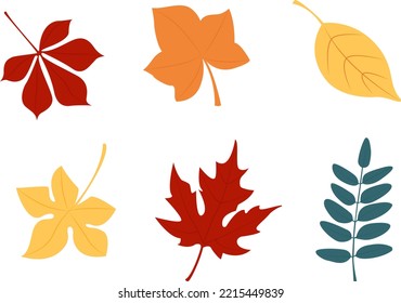 Autumn leaves isolated vector set for design