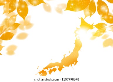 Autumn leaves Japan maple background