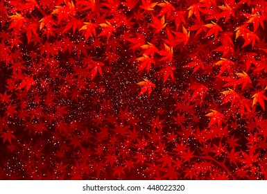 Autumn leaves autumn landscape background